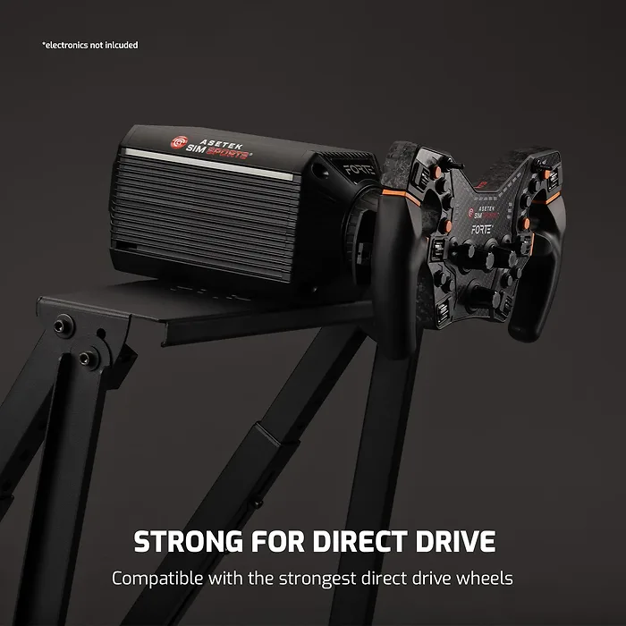 NEXT LEVEL RACING-NLR-S010