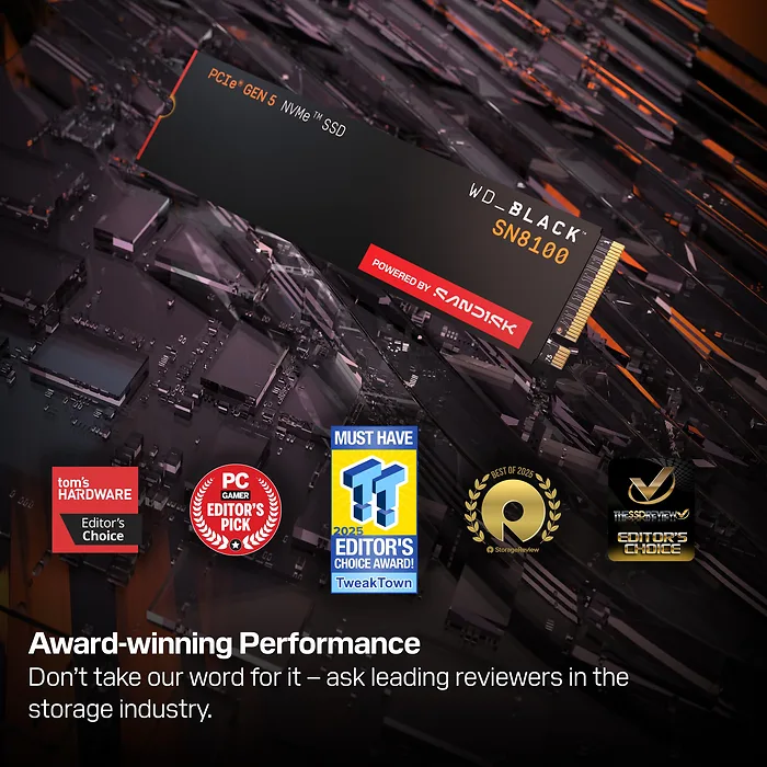 Western Digital-WDS100T1X0M