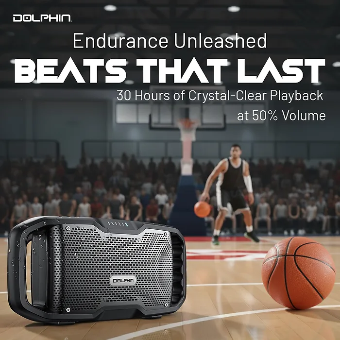 DOLPHIN AUDIO-S100