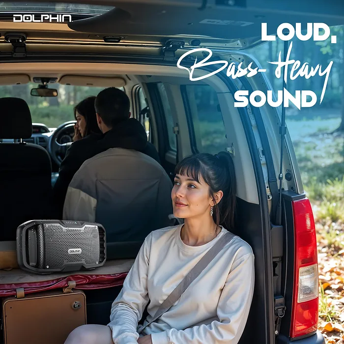 DOLPHIN AUDIO-S100