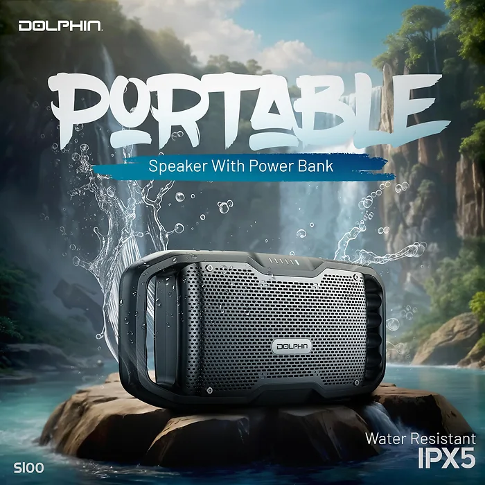 DOLPHIN AUDIO-S100