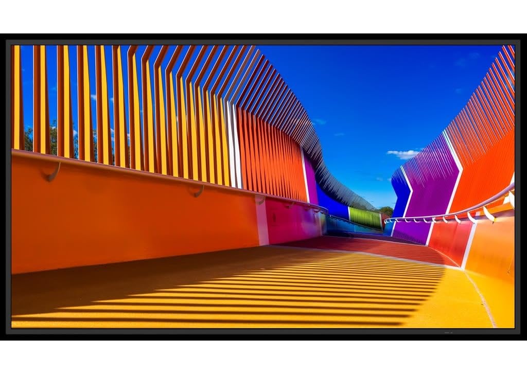 Sharp Electronics Corp. PN-E659 — Sharp PN-E659