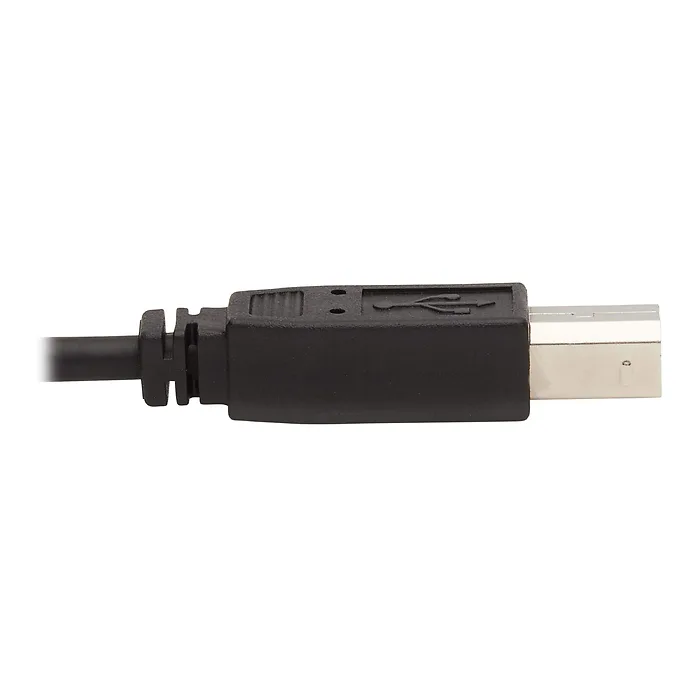 Eaton Tripplite-P783-006-DP