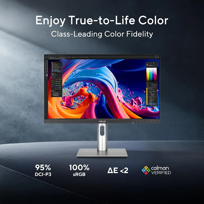 ASUS-PA249CGV