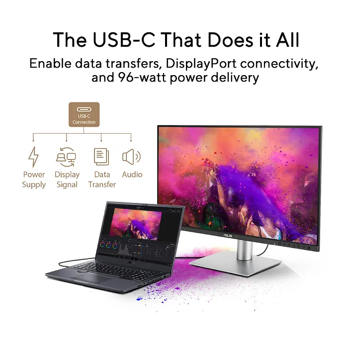 ASUS-PA249CGV