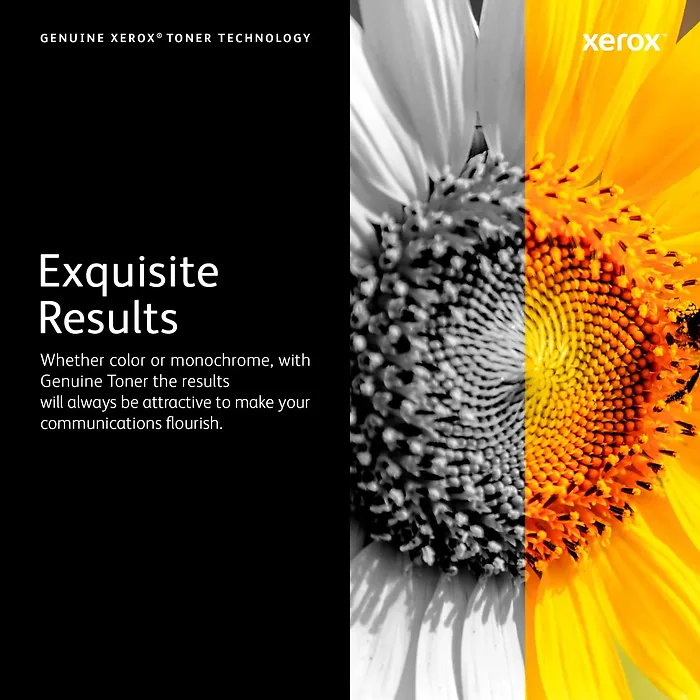 XEROX-XER106R03580