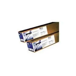 BRAND MANAGEMENT GROUP, LLC 51631D — SPECIAL INKJET PAPER 24 X 150