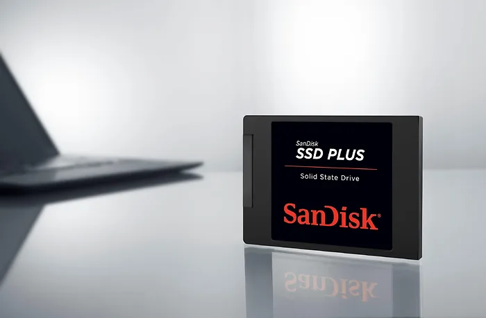 Western Digital-SDSSDA-1T00-G28